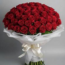 Букет 101 Красная роза Блэк Мэджик в Ибреси
