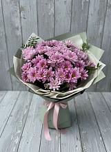 Букет цветов из:  Хризантемы #REPLACE_PRED# Ибреси