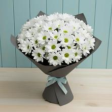 Букет цветов из:  Хризантемы в Ибреси