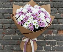 Букет цветов из:  Хризантемы #REPLACE_PRED# Ибреси