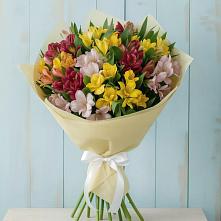 Букет цветов из:  Альстромерии #REPLACE_PRED# Ибреси