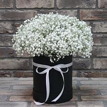 Цветочная композиция из Гипсофила в шляпной коробке в Ибреси